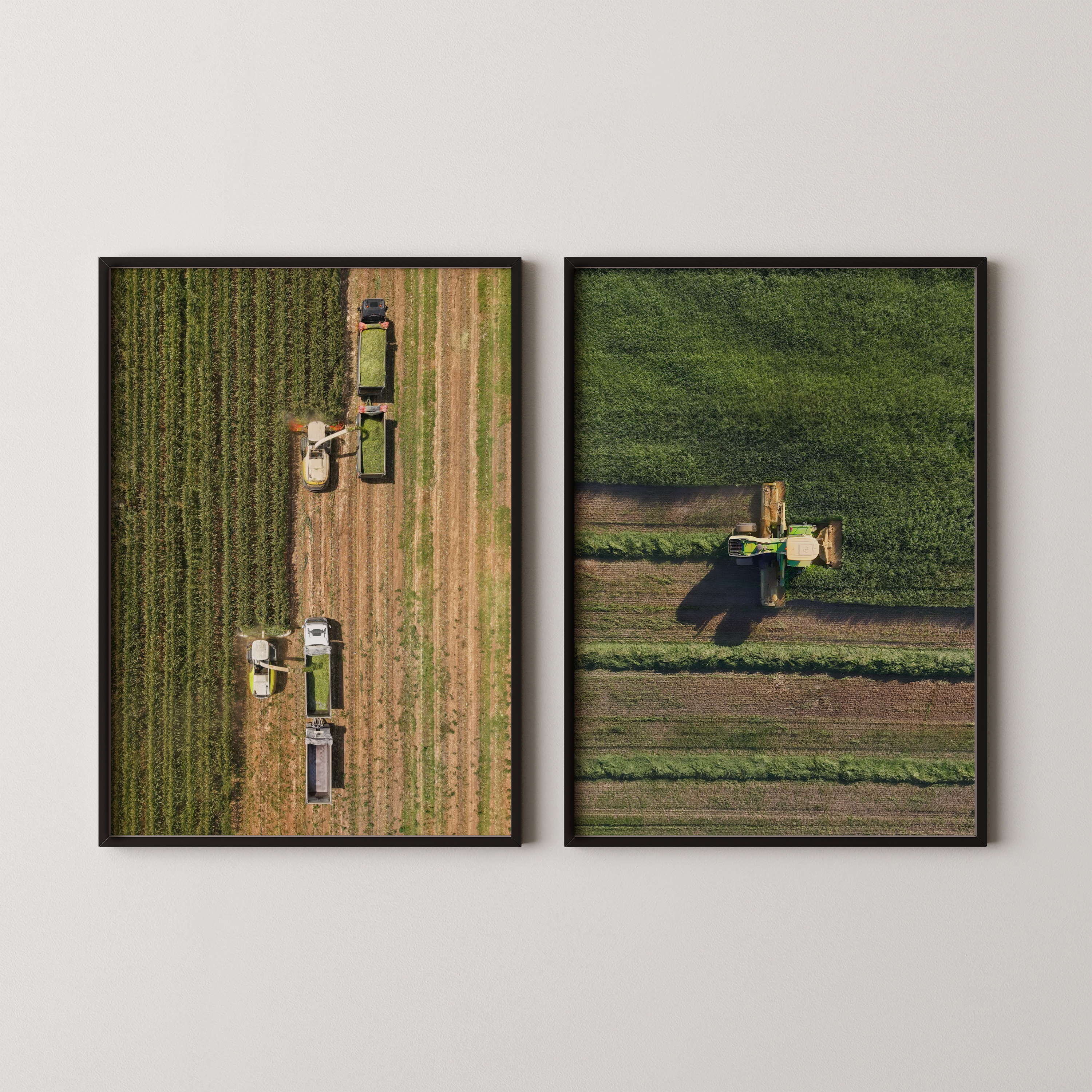סט צילומים ממוסגרים של שדות חקלאיים בזמן קציר, מבט אווירי על תלמים ירוקים ומכונות קציר, צילום מאת חן כליפה לוי