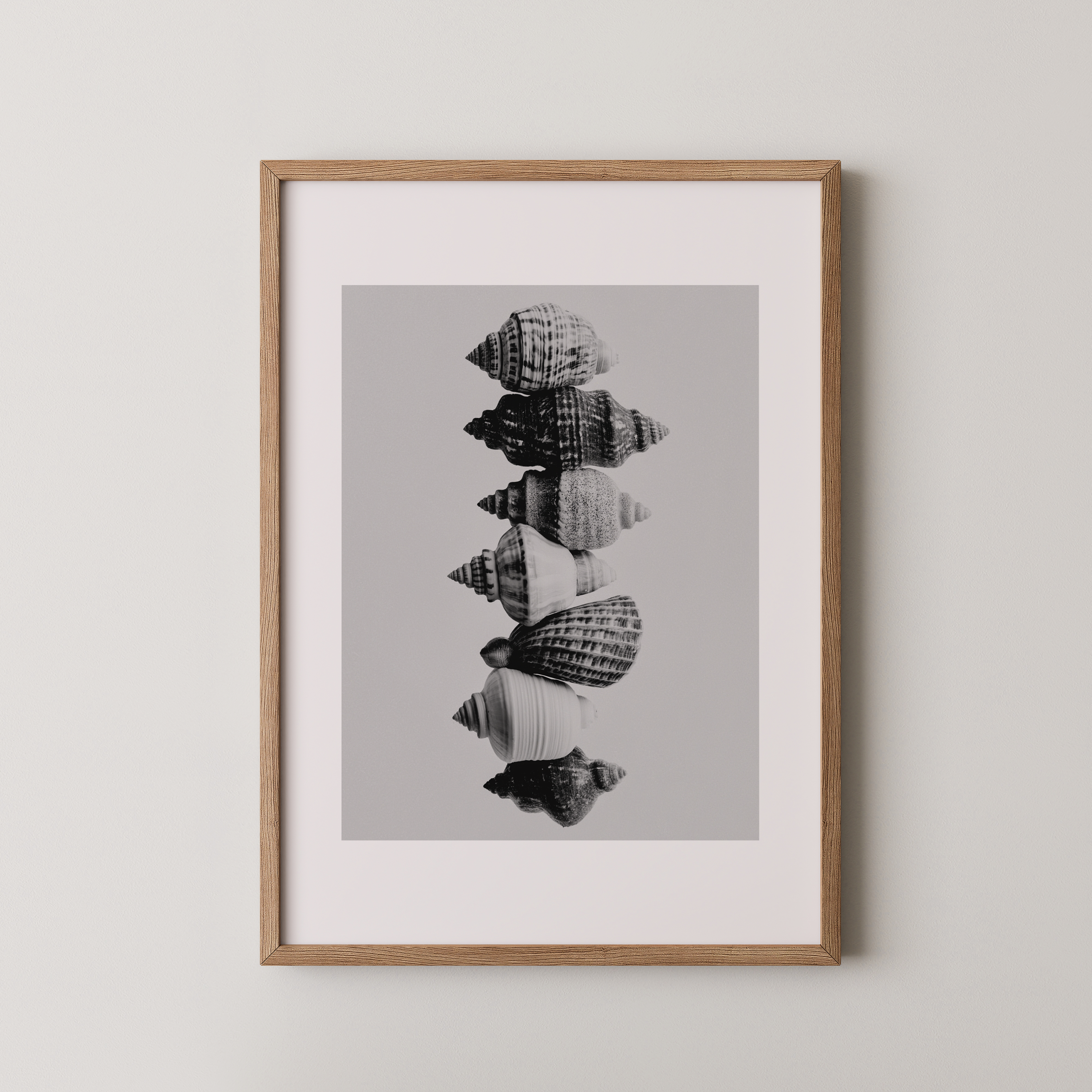 יצירת אמנות מינימליסטית של צדפים בשחור לבן בקומפוזיציה אנכית, מוצגת במסגרת עץ טבעי בחלל מודרני.