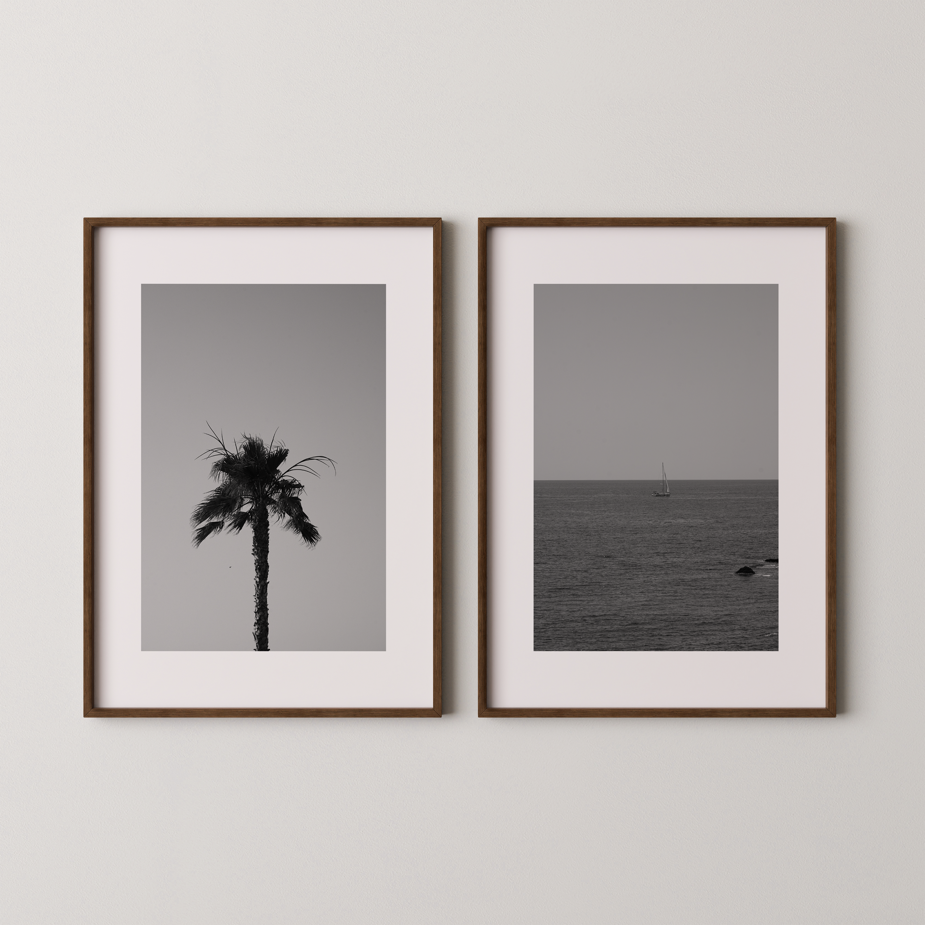 Between Palm and  Sea | Danielle Barlot