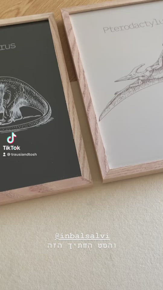 סט תמונות דינוזאורים לחדר ילדים